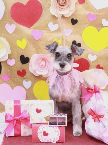 20230226ぽんずちゃん